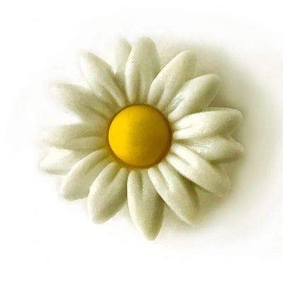 Flowers & Garden Bulk