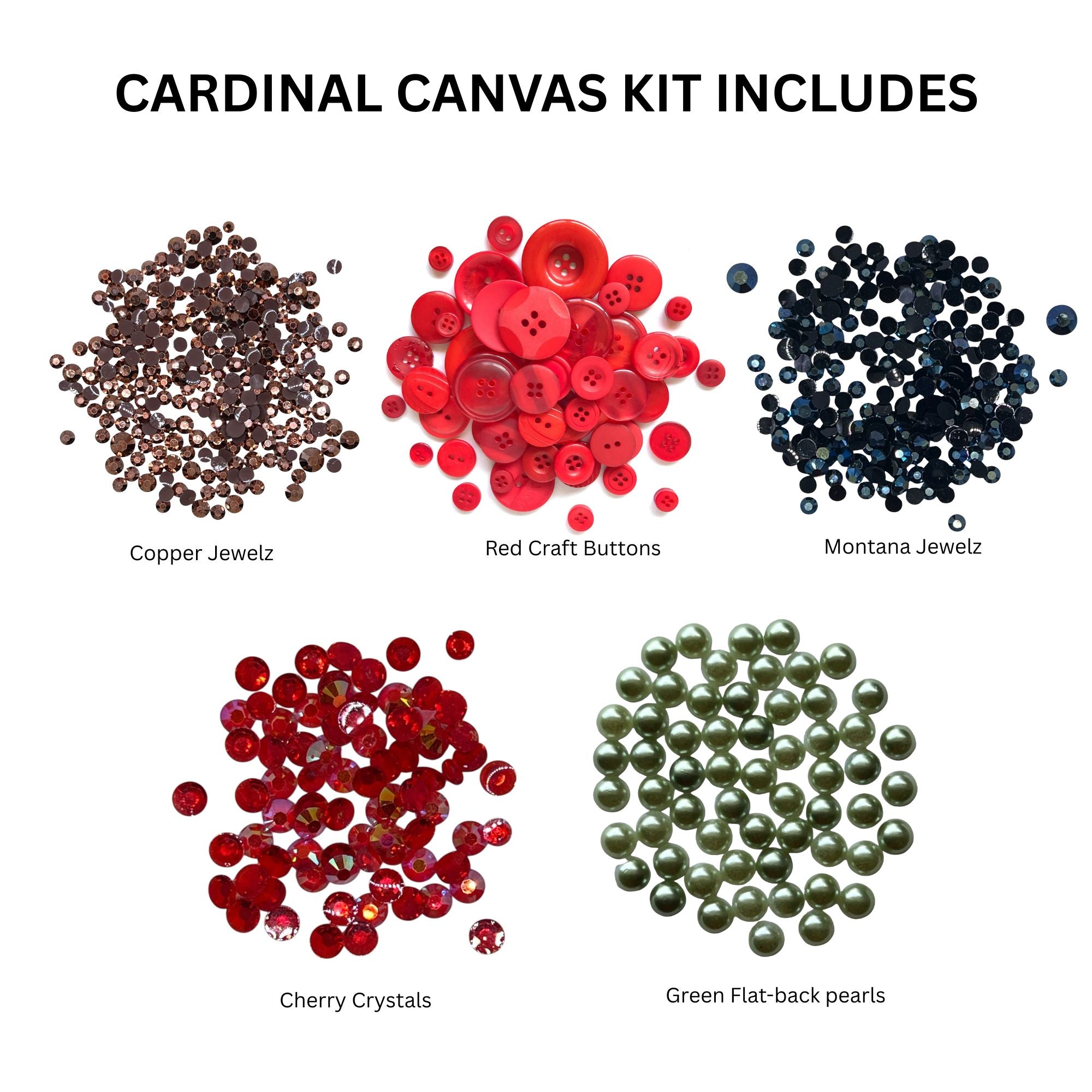 Cardinal DIY Canvas Craft Kit - 0