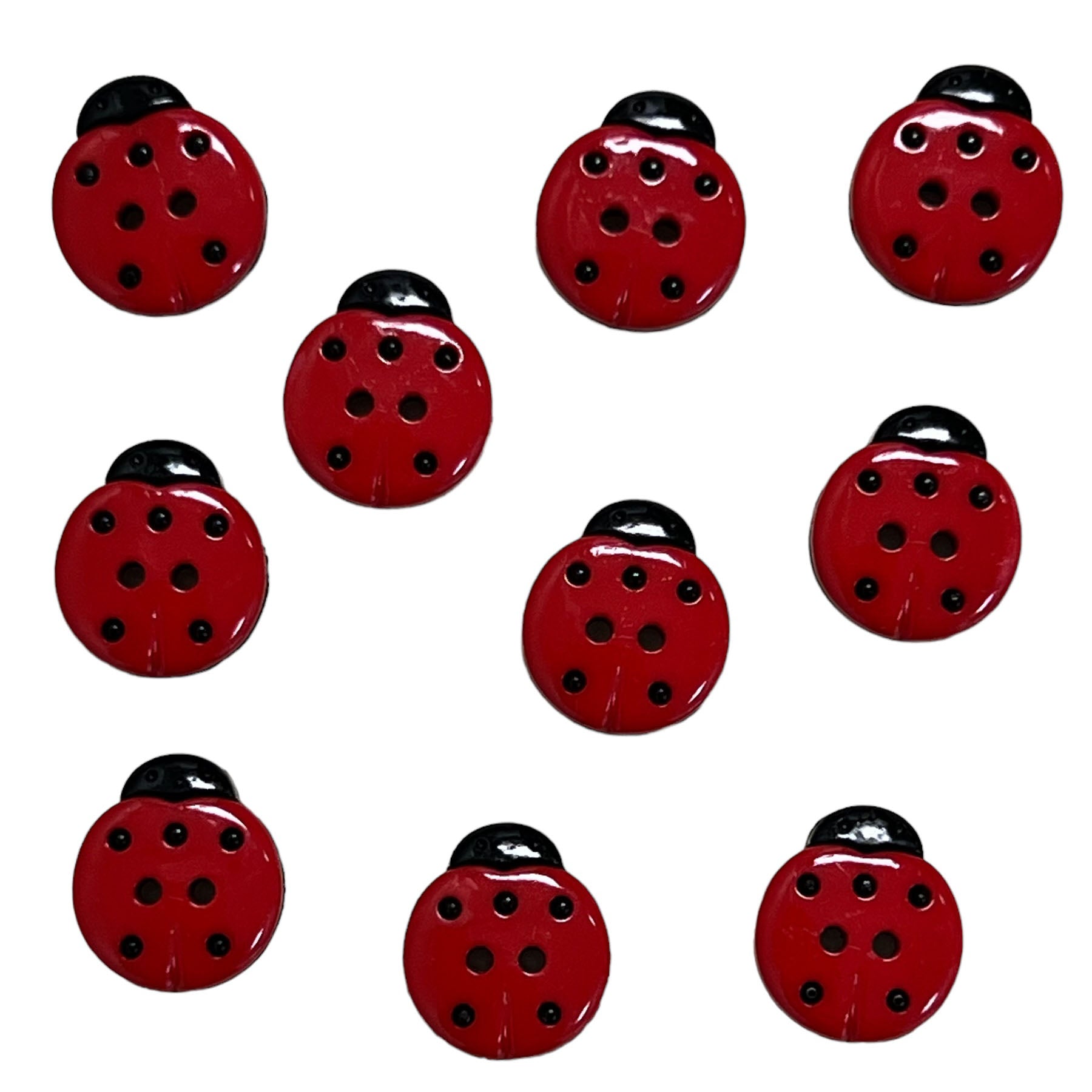 Ladybird - 4479