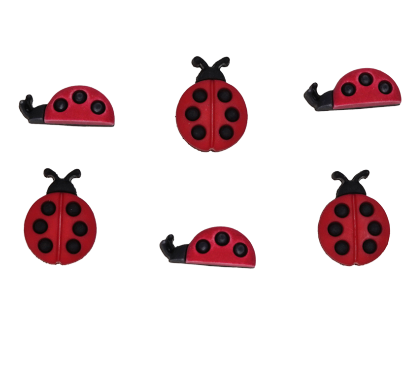 Ladybugs - DS108
