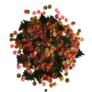 Christmas Pine - SQN118-1