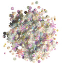 Snow Globe - SQN123-1