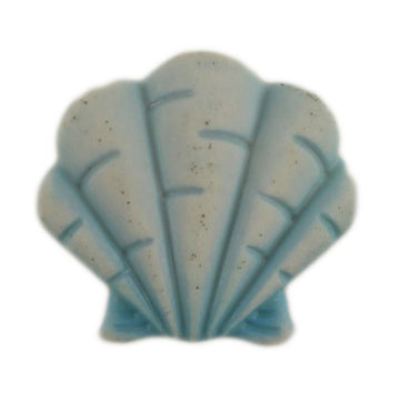 Fan Shell - B1081