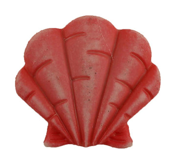 Fan Shell - B1081 - 0