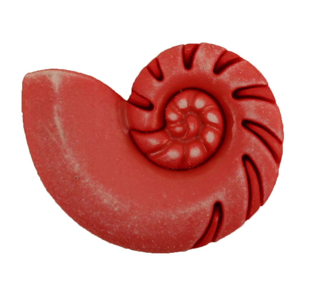 Buy red Nautilus Shell - B1084