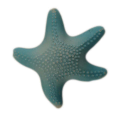 Starfish - B1087