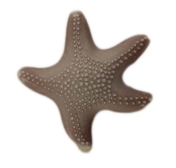 Buy grey Starfish - B1087