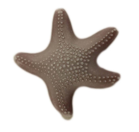 Starfish - B1087