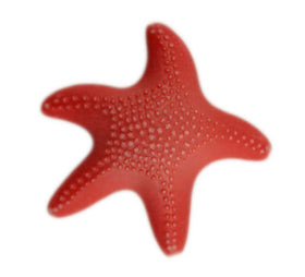 Buy red Starfish - B1087