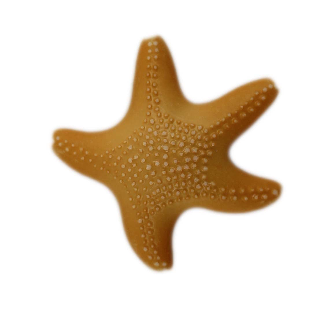 Starfish - B1087