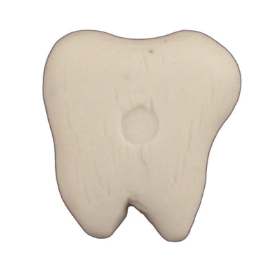 Tooth - B454