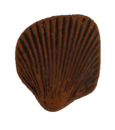 Seashell - B607