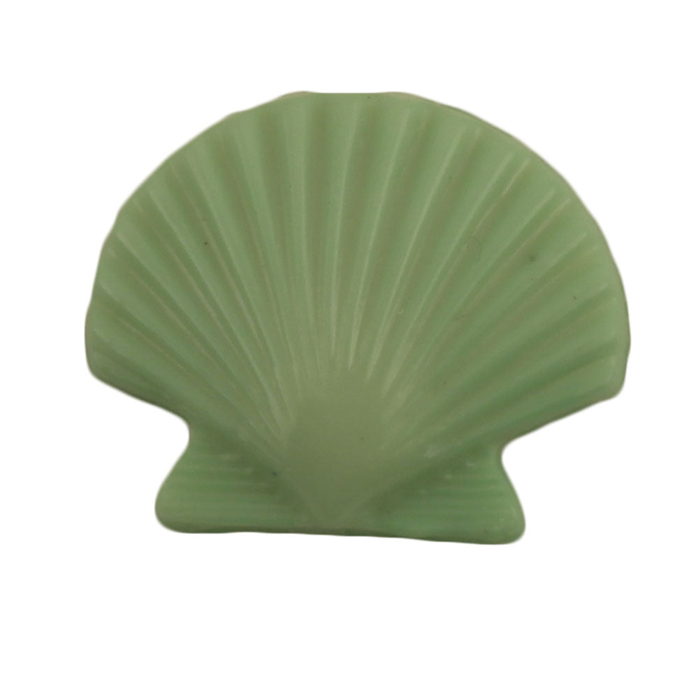 Seashell - B609