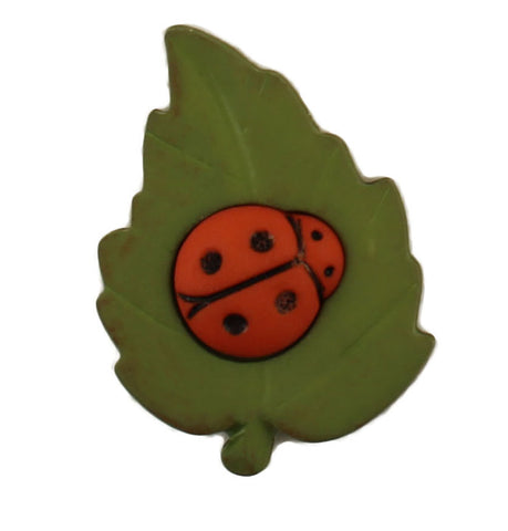 Ladybug on Leaf - B936
