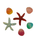 Shiny Shells- FBZ111-1