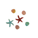 Shiny Shells- FBZ111-3