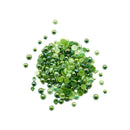 Weeping Willow - HPZ205-3