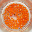 Tiger Lily - POP104-2