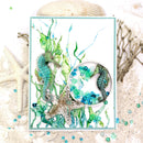 Sea Level - SPK110-3