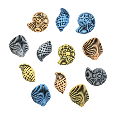 Seashells - 4262